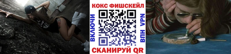 закладка  Новоржев  Кокаин Columbia 
