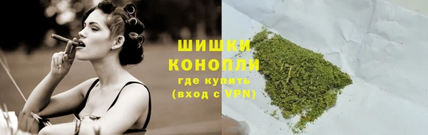 индика Сосновка